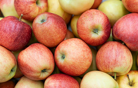 wholesale apple distributor