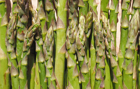 wholesale asparagus distributor