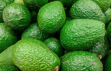 wholesale avocado distributor