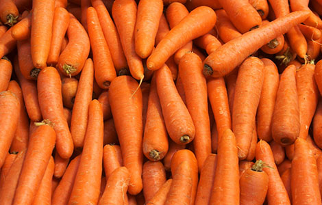 wholesale carrot distributor