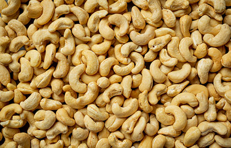 wholesale cashew distributor