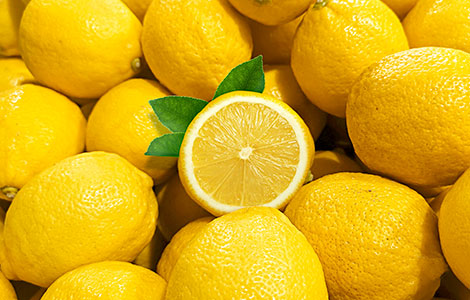 wholesale lemon distributor